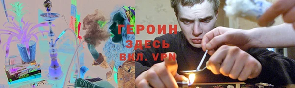 прущие грибы Балахна