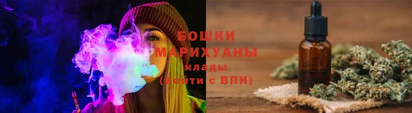 прущие грибы Балахна
