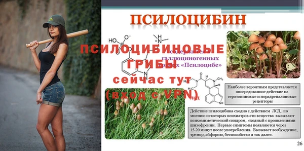 соль ск Балабаново