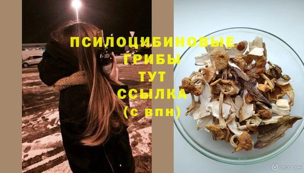 соль ск Балабаново